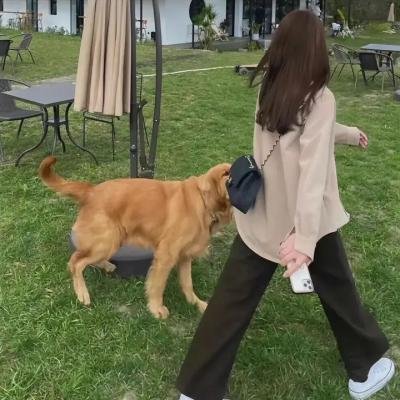 火车上的女孩2021